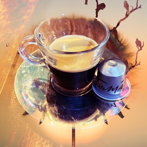 https://www.coffeecapsuleguide.com/wp-content/uploads/2020/10/NespressoAgedSumatraReview.jpg